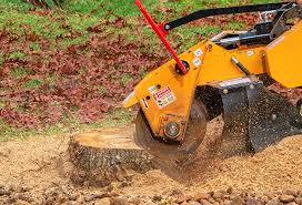 Best Lawn Dethatching  in Huntingtown, MD